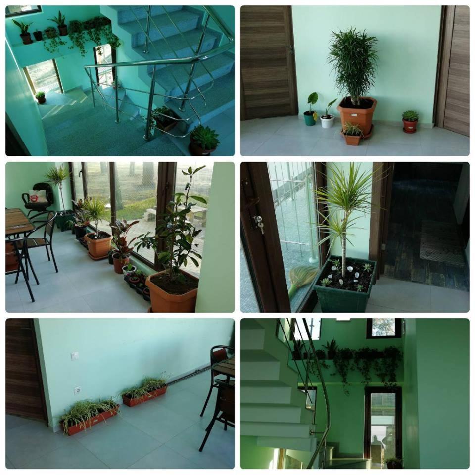 Shekvetili Green House Exterior foto